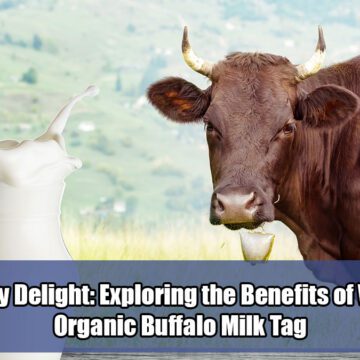 The-Creamy-Delight-Exploring-the-Benefits-of-WellHealth-Organic-Buffalo-Milk-Tag