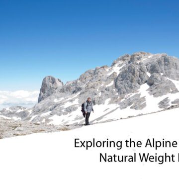 exploring-alpine-ice-hack