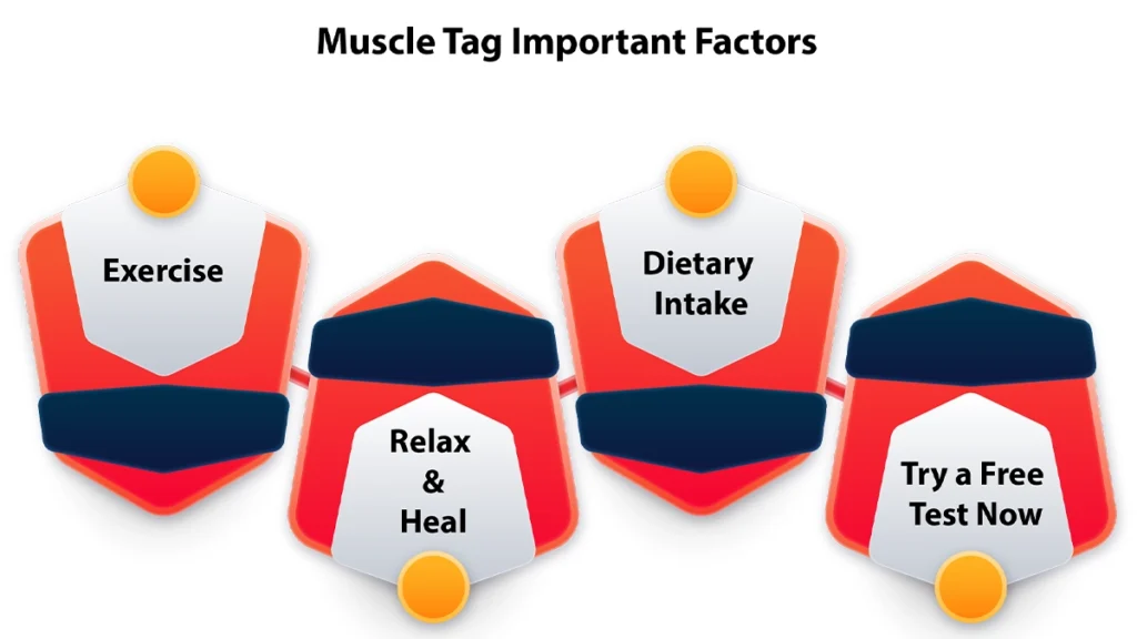 Muscle-Tag-infographic