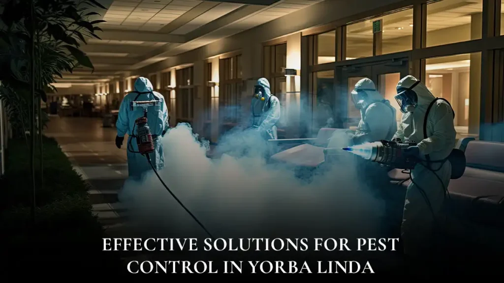 Pest-Control-Yorba-Linda